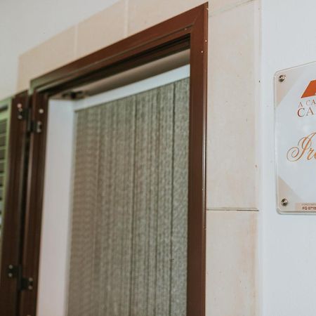 维耶斯泰A Casa Da Carla公寓 外观 照片